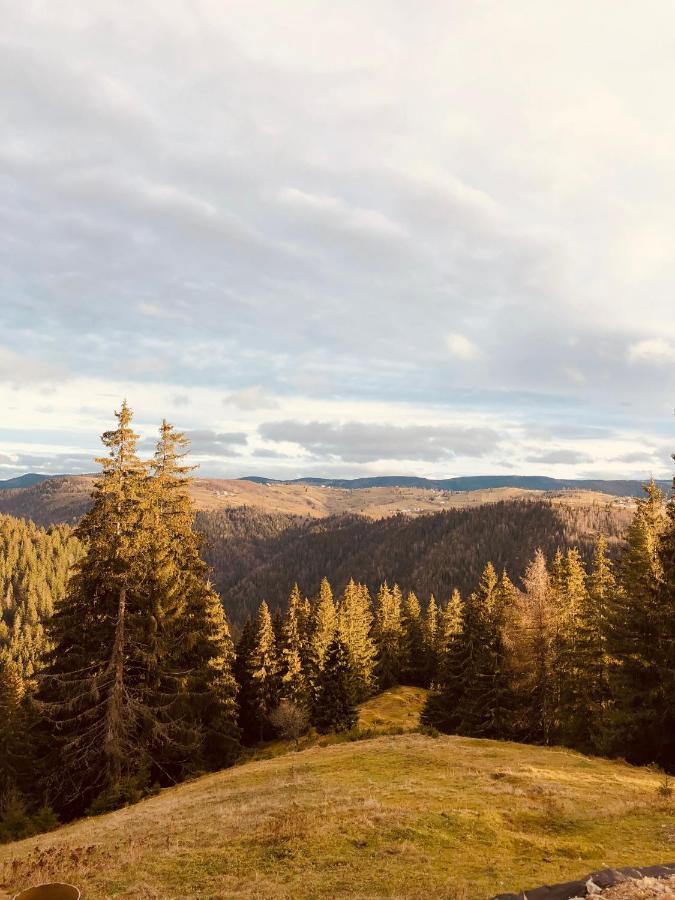 La Koltau A-Frame Hotell Mărişel Eksteriør bilde